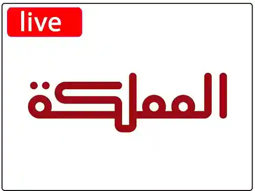 شاهد البث المباشر قناة المملكة