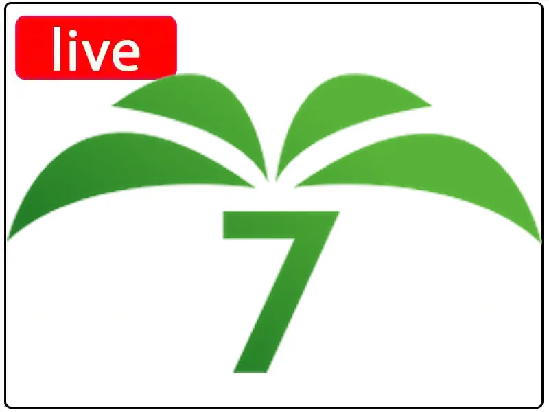 Ver Elche 7 TV en vivo