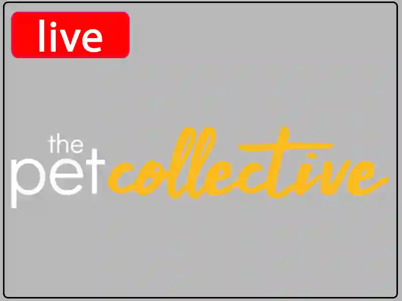 Ver The Pet Collective en vivo