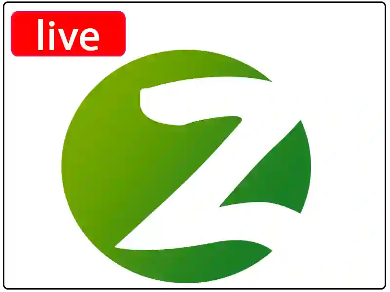 Дивіться прямий ефір Z Ukraine Channel